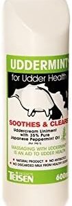 Teisen Uddermint 600ml