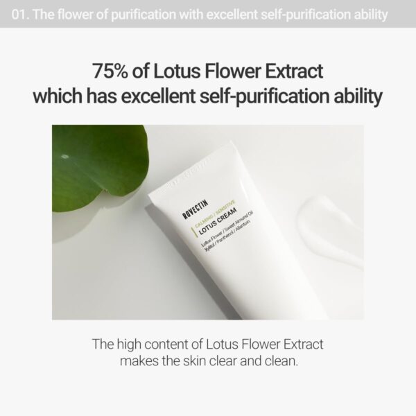 [ROVECTIN] Clean Lotus Water Cream 60ml - Image 2