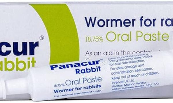 Panacur Wormer Paste for Rabbits