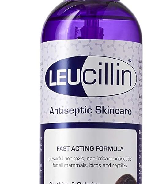 Leucillin Natural Antiseptic Spray - Antibacterial Antifungal Antiviral for Dogs Cats All Animals Itchy Skin Minor Wound Care and Skin Health | 250ml