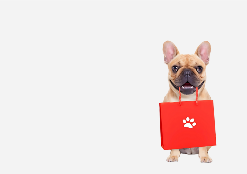 promo-banner-image